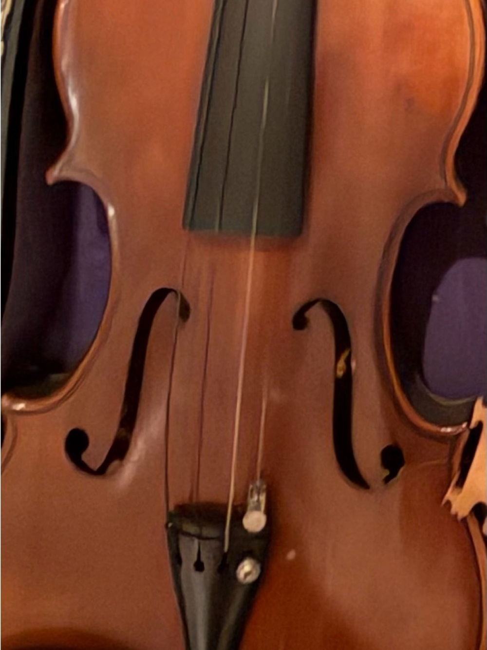 Violin with Purple-Lined Case - Picture 2 of 2